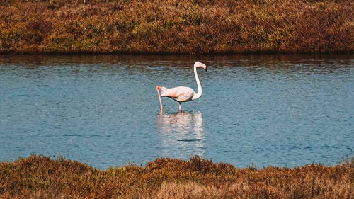 WorldWetlands Day 6