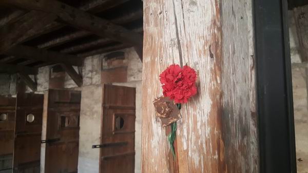 Risiera fiore