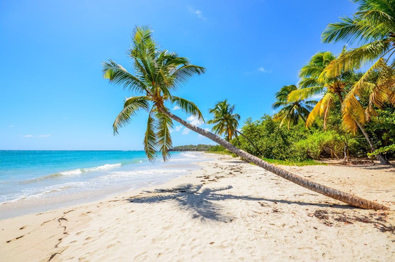 Martinica: quando andare, cosa vedere e le spiagge più belle